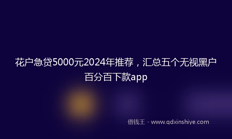 花户急贷5000元2024年推荐，汇总五个无视黑户百分百下款app