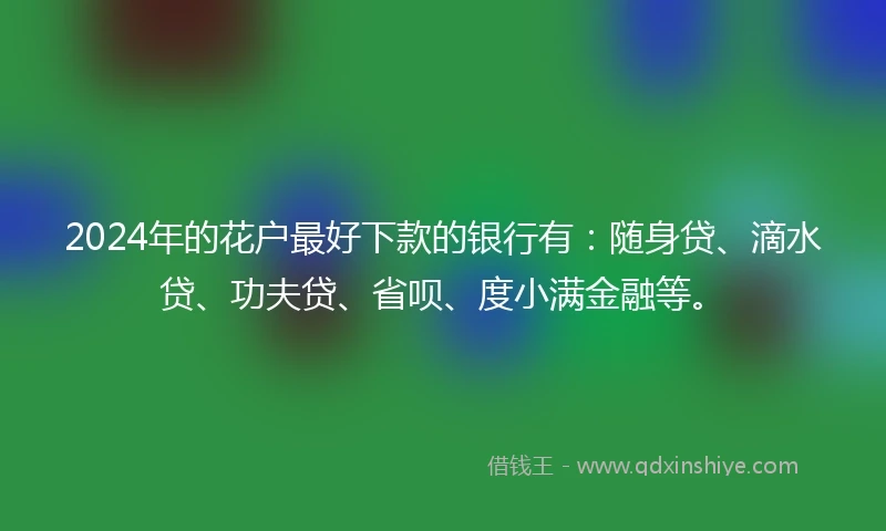 2024年的花户最好下款的银行有：随身贷、滴水贷、功夫贷、省呗、度小满金融等。