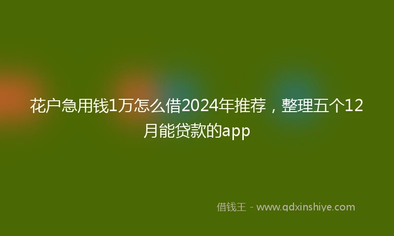 花户急用钱1万怎么借2024年推荐,整理五个12月能贷款的app
