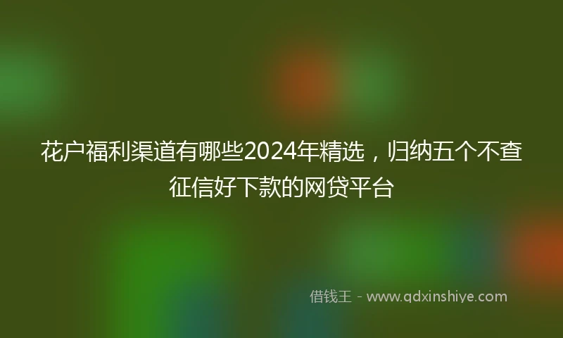 花户福利渠道有哪些2024年精选，归纳五个不查征信好下款的网贷平台