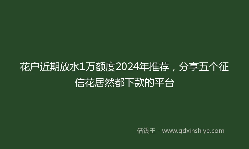 花户近期放水1万额度2024年推荐，分享五个征信花居然都下款的平台