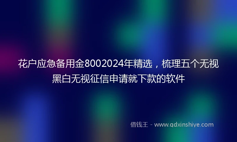 花户应急备用金8002024年精选,梳理五个无视黑白无视征信申请就下款的软件