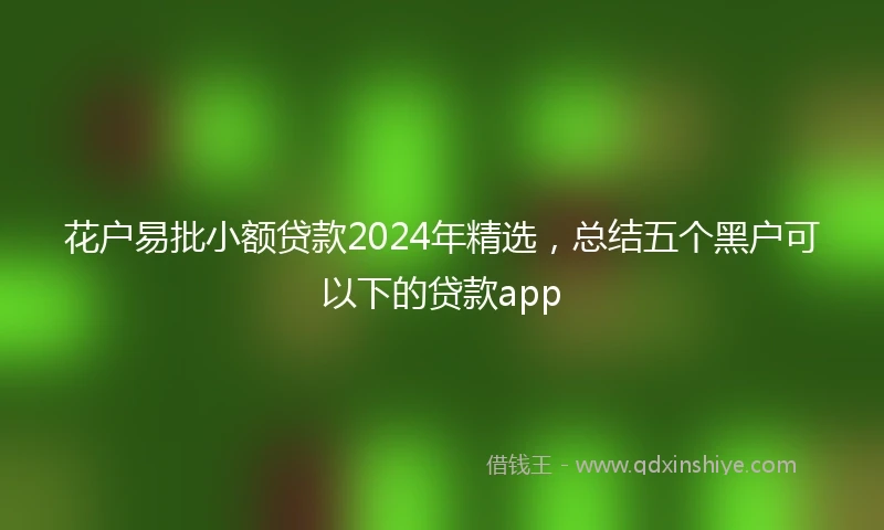 花户易批小额贷款2024年精选，总结五个黑户可以下的贷款app