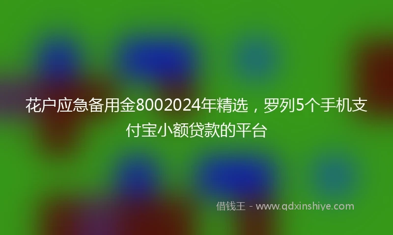 花户应急备用金8002024年精选，罗列5个手机支付宝小额贷款的平台