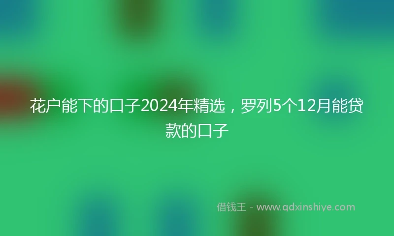 花户能下的口子2024年精选，罗列5个12月能贷款的口子