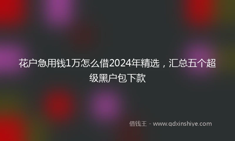 花户急用钱1万怎么借2024年精选，汇总五个超级黑户包下款