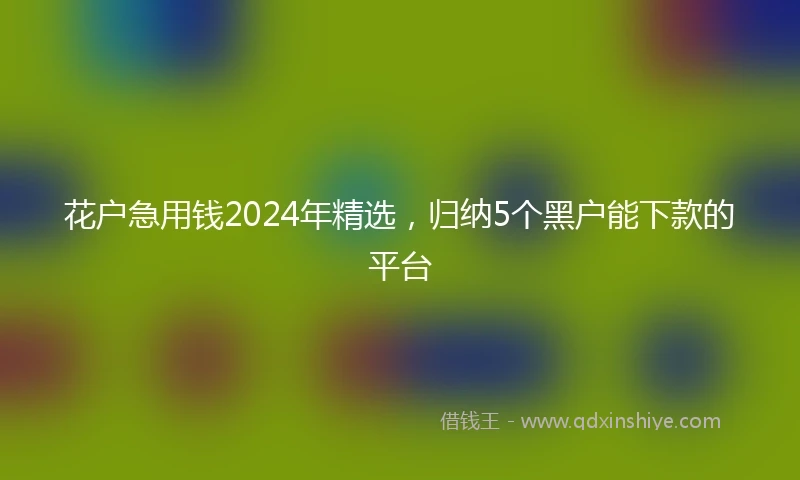 花户急用钱2024年精选，归纳5个黑户能下款的平台