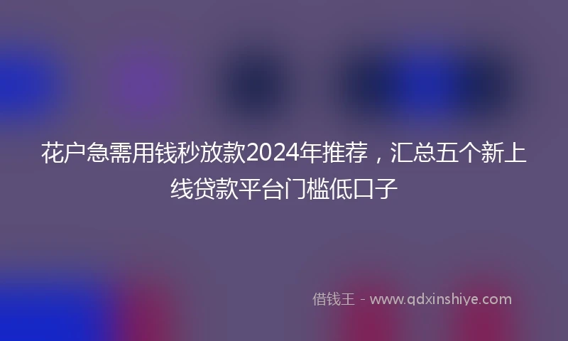 花户急需用钱秒放款2024年推荐，汇总五个新上线贷款平台门槛低口子