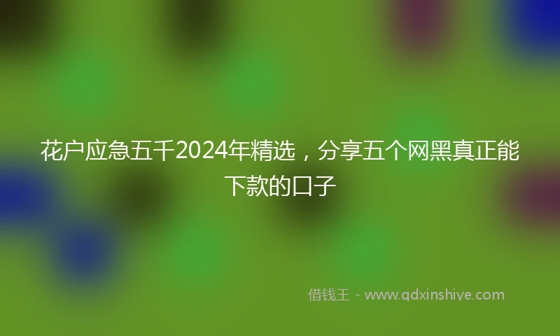 花户应急五千2024年精选，分享五个网黑真正能下款的口子