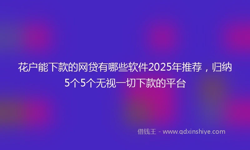 花户能下款的网贷有哪些软件2025年推荐，归纳5个5个无视一切下款的平台