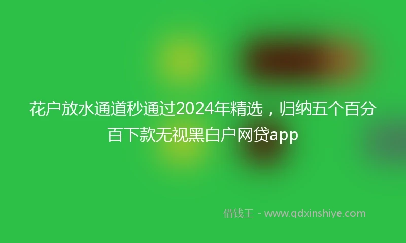 花户放水通道秒通过2024年精选，归纳五个百分百下款无视黑白户网贷app