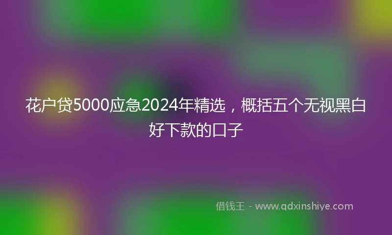 花户贷5000应急2024年精选，概括五个无视黑白好下款的口子