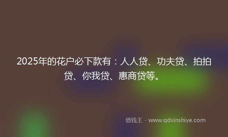 2025年的花户必下款有：人人贷、功夫贷、拍拍贷、你我贷、惠商贷等。
