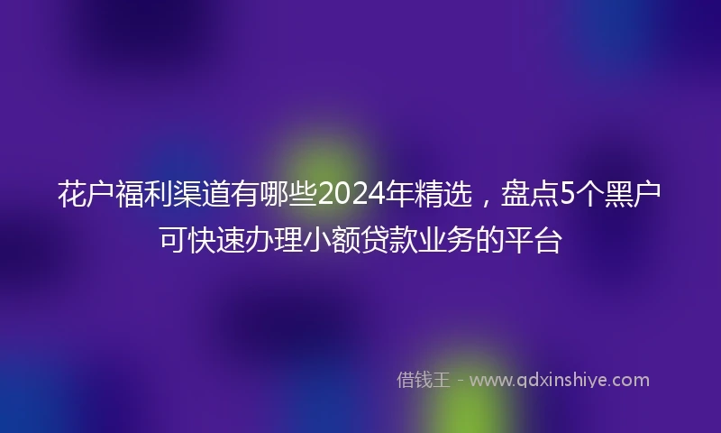 花户福利渠道有哪些2024年精选，盘点5个黑户可快速办理小额贷款业务的平台