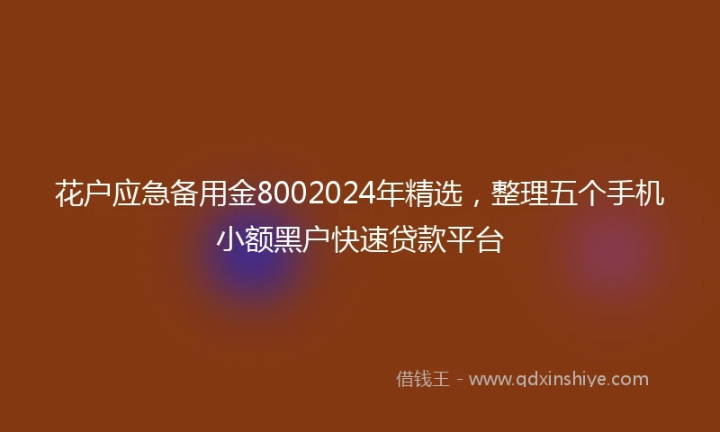 花户应急备用金8002024年精选，整理五个手机小额黑户快速贷款平台