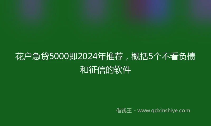 花户急贷5000即2024年推荐，概括5个不看负债和征信的软件