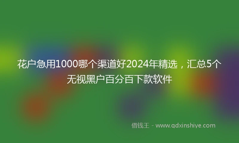 花户急用1000哪个渠道好2024年精选，汇总5个无视黑户百分百下款软件