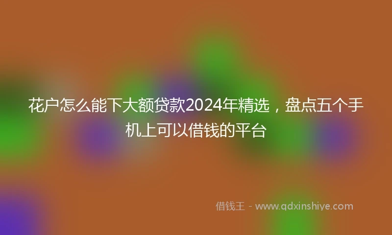 花户怎么能下大额贷款2024年精选，盘点五个手机上可以借钱的平台