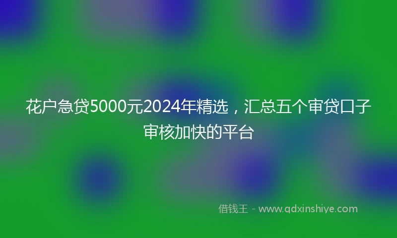 花户急贷5000元2024年精选，汇总五个审贷口子审核加快的平台