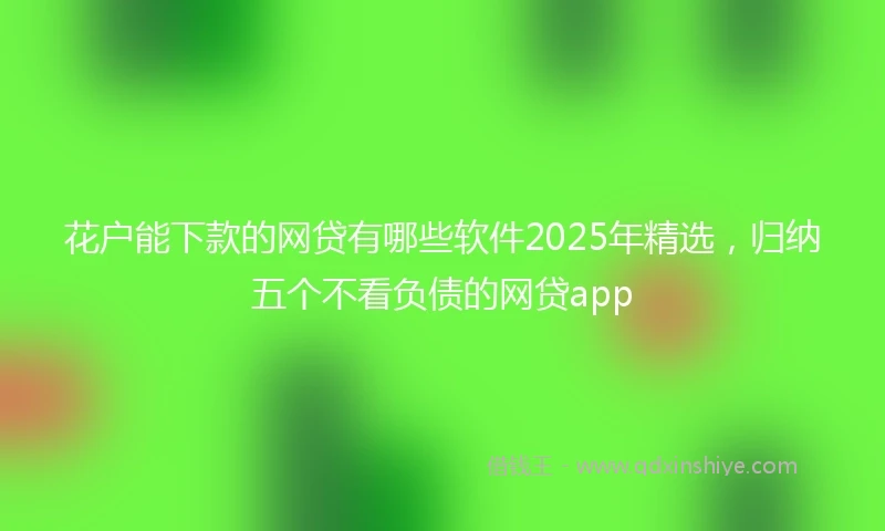 花户能下款的网贷有哪些软件2025年精选，归纳五个不看负债的网贷app