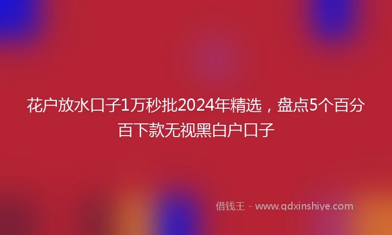 花户放水口子1万秒批2024年精选，盘点5个百分百下款无视黑白户口子