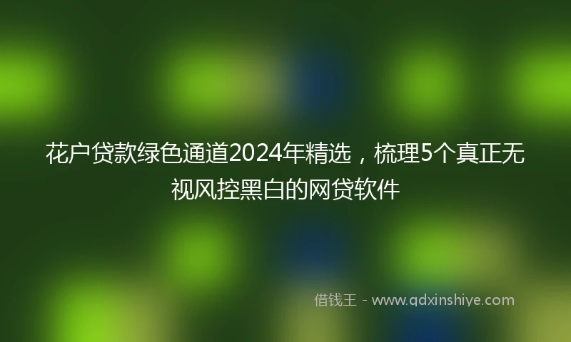 花户贷款绿色通道2024年精选，梳理5个真正无视风控黑白的网贷软件