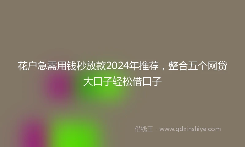 花户急需用钱秒放款2024年推荐，整合五个网贷大口子轻松借口子