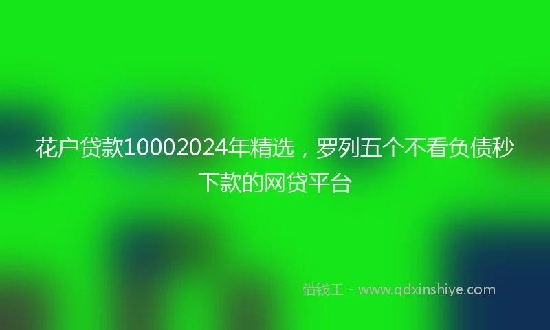 花户贷款10002024年精选，罗列五个不看负债秒下款的网贷平台