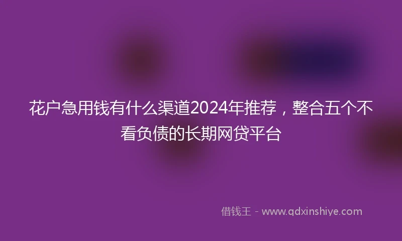 花户急用钱有什么渠道2024年推荐，整合五个不看负债的长期网贷平台