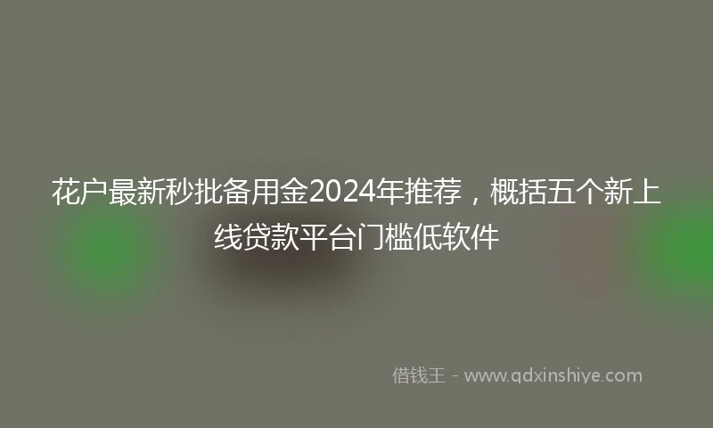 花户最新秒批备用金2024年推荐，概括五个新上线贷款平台门槛低软件