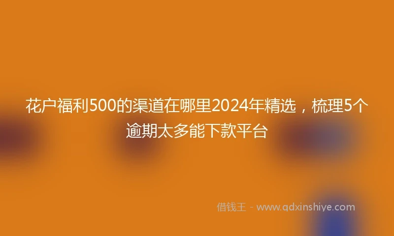 花户福利500的渠道在哪里2024年精选，梳理5个逾期太多能下款平台