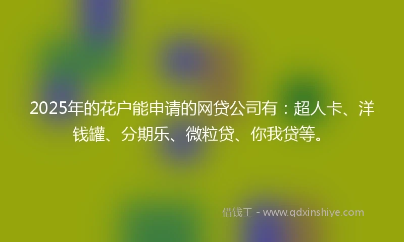 2025年的花户能申请的网贷公司有：超人卡、洋钱罐、分期乐、微粒贷、你我贷等。