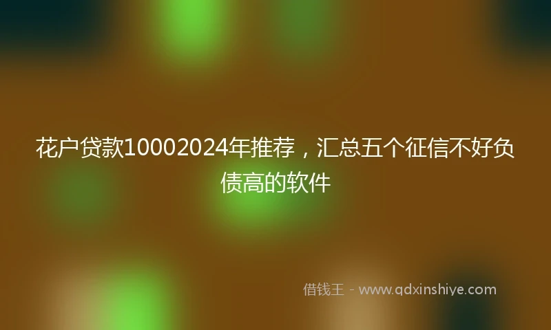 花户贷款10002024年推荐，汇总五个征信不好负债高的软件