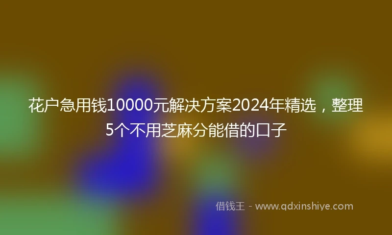 花户急用钱10000元解决方案2024年精选，整理5个不用芝麻分能借的口子