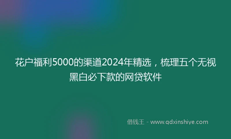 花户福利5000的渠道2024年精选，梳理五个无视黑白必下款的网贷软件