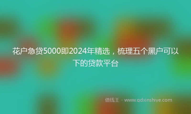 花户急贷5000即2024年精选，梳理五个黑户可以下的贷款平台