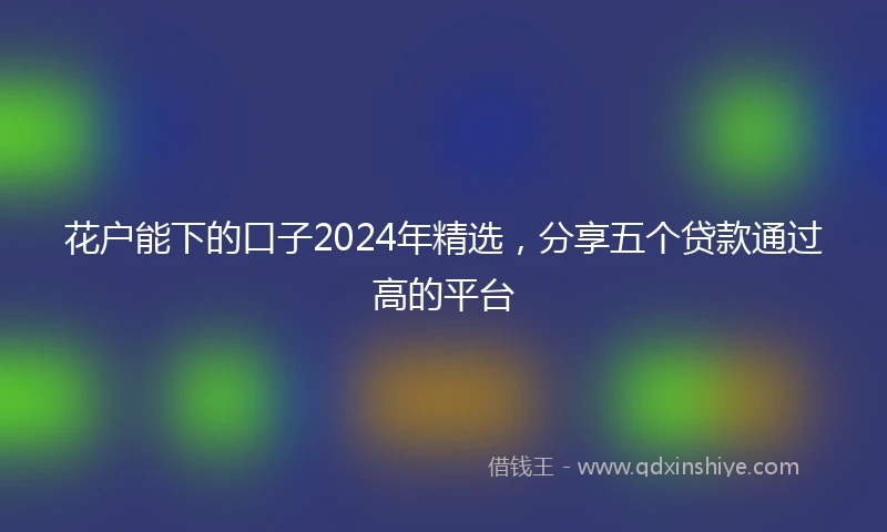 花户能下的口子2024年精选，分享五个贷款通过高的平台