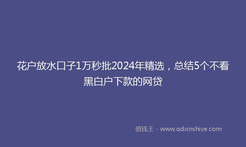 花户放水口子1万秒批2024年精选，总结5个不看黑白户下款的网贷