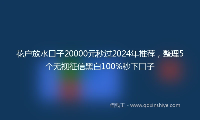 花户放水口子20000元秒过2024年推荐，整理5个无视征信黑白100%秒下口子