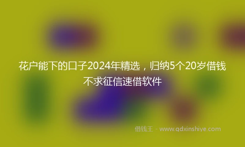 花户能下的口子2024年精选，归纳5个20岁借钱不求征信速借软件
