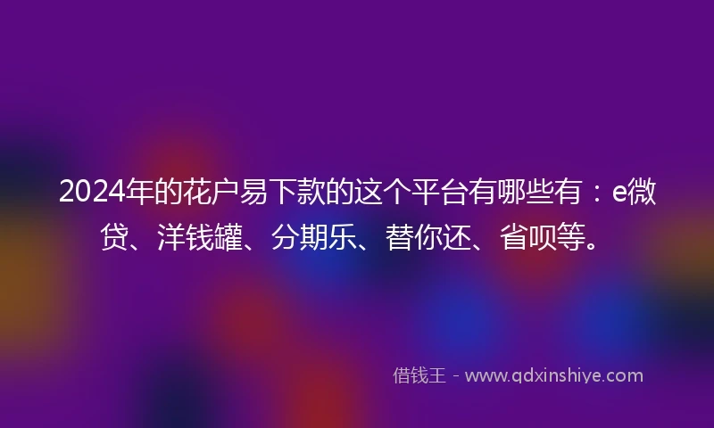 2024年的花户易下款的这个平台有哪些有：e微贷、洋钱罐、分期乐、替你还、省呗等。