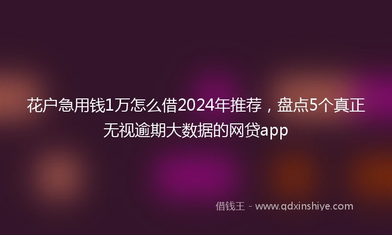 花户急用钱1万怎么借2024年推荐，盘点5个真正无视逾期大数据的网贷app