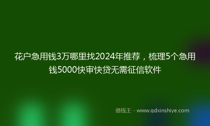 花户急用钱3万哪里找2024年推荐,梳理5个急用钱5000快审快贷无需征信软件
