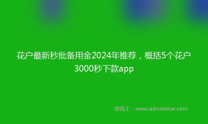 花户最新秒批备用金2024年推荐，概括5个花户3000秒下款app