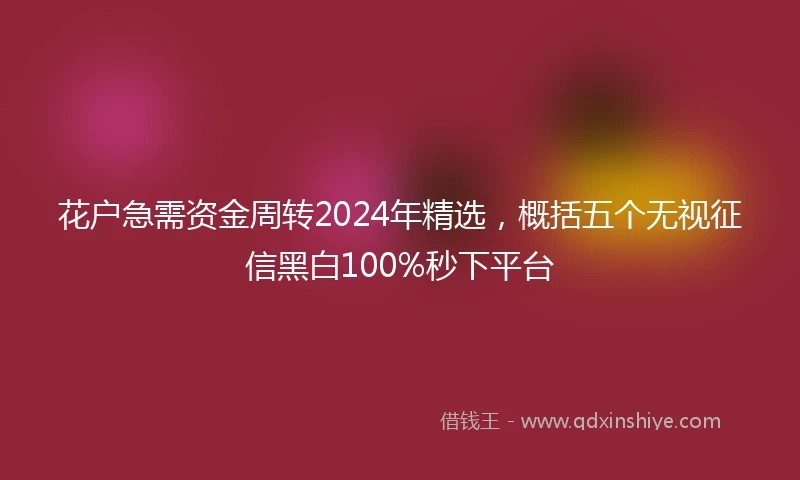 花户急需资金周转2024年精选，概括五个无视征信黑白100%秒下平台