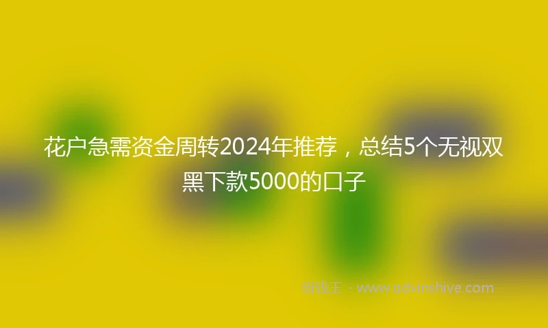 花户急需资金周转2024年推荐，总结5个无视双黑下款5000的口子