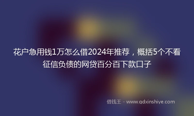 花户急用钱1万怎么借2024年推荐，概括5个不看征信负债的网贷百分百下款口子