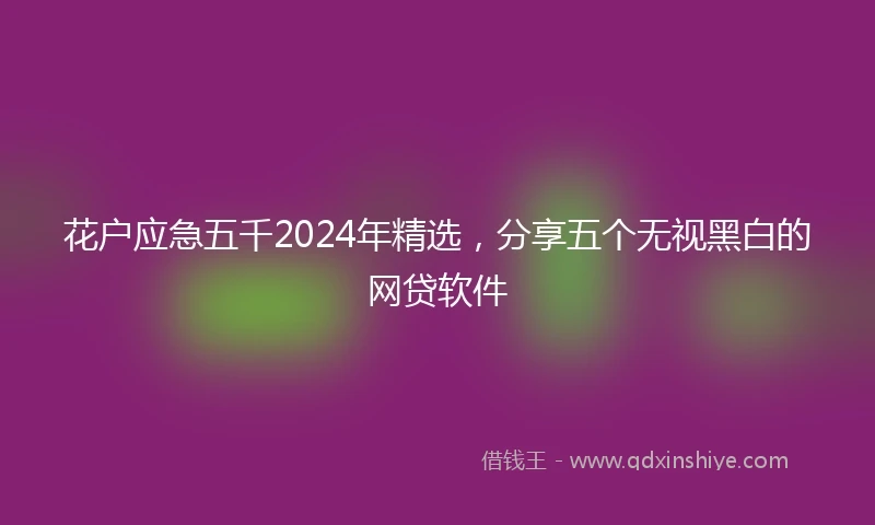 花户应急五千2024年精选，分享五个无视黑白的网贷软件
