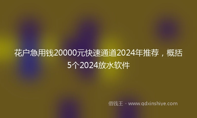 花户急用钱20000元快速通道2024年推荐，概括5个2024放水软件