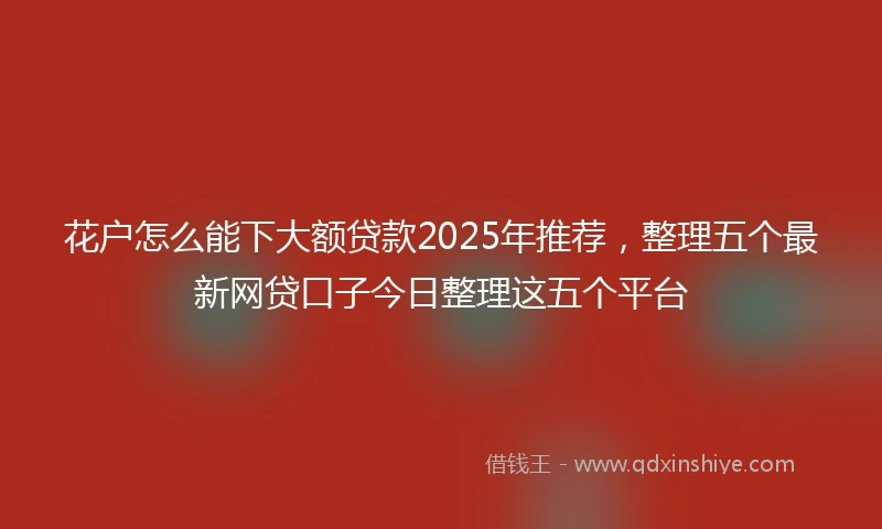 花户怎么能下大额贷款2025年推荐，整理五个最新网贷口子今日整理这五个平台